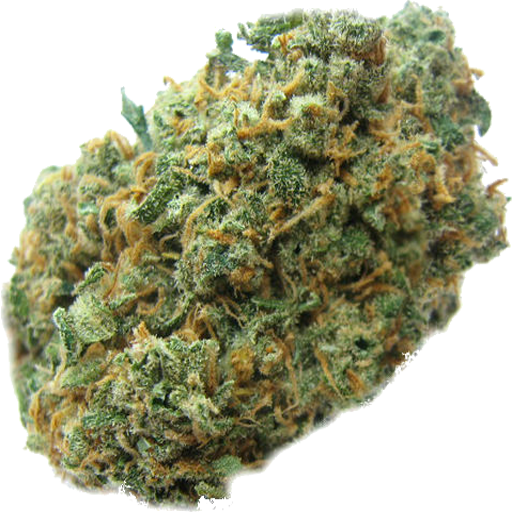 Cannabis Seeds