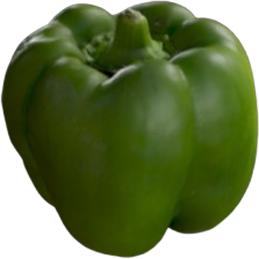 Bell Pepper Seeds