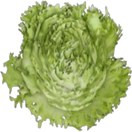 Lettuce Seeds