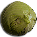 Cabbage Seeds