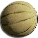 Melon Seeds