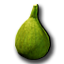 Fig Seeds