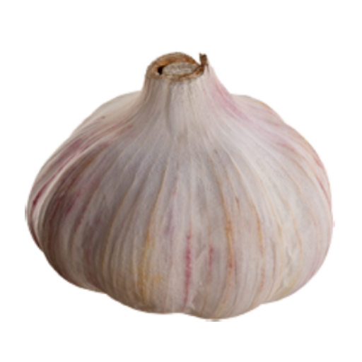 Garlic Seeds