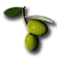 Olive Seeds