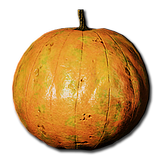 Pumpkin Seeds