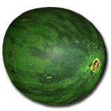 Watermelon Seeds